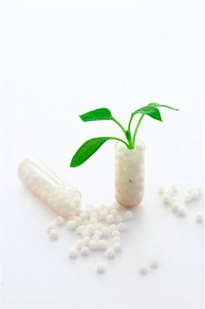 conceptual image of a homeopatyh pill. A little plant is sprouting from the opened pill Foto de stock - Super Valor sin royalties y Suscripción, Código: 400-05059773