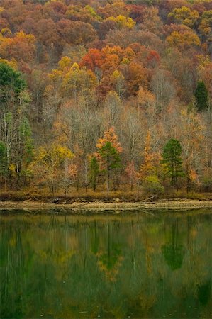 Dewey Lake in autumn, Jenny Wiley State Park, Kentucky, USA Stock Photo - Budget Royalty-Free & Subscription, Code: 400-05060813