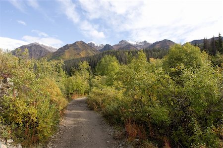 simsearch:400-05271081,k - Established in 1980 by the Alaska National Interest Lands Conservation Act, Wrangell-St. Elias National Park and Preserve is a United States National Park in southern Alaska. Photographie de stock - Aubaine LD & Abonnement, Code: 400-05074817