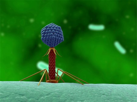 sem - 3d rendered illustration of a bacteriophage attacking a cell Stock Photo - Budget Royalty-Free & Subscription, Code: 400-05074975