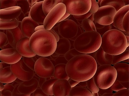 platelets - 3drendered illustration of streaming blood cells Stock Photo - Budget Royalty-Free & Subscription, Code: 400-05075552