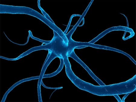 3d rendered close up of a human nerve cell Foto de stock - Super Valor sin royalties y Suscripción, Código: 400-05076907