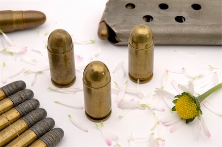 simsearch:400-04072400,k - golden bullets on flower bucks, ammunition magazine in background, ripped flower Stock Photo - Budget Royalty-Free & Subscription, Code: 400-05077085