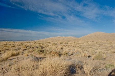 steppe - Kelso Dunes, also known as the Kelso Dune Field, is the largest field of eolian sand deposits in the Mojave Desert. Stock Photo - Budget Royalty-Free & Subscription, Code: 400-05071095