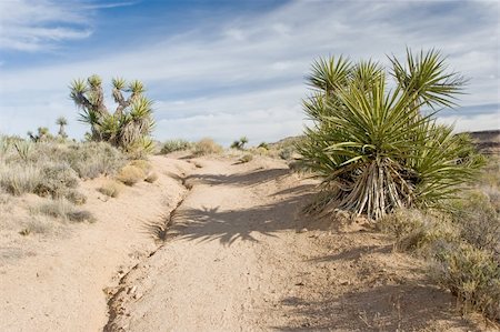 The Mojave National Preserve is located in the Mojave Desert in Southern California, Stock Photo - Budget Royalty-Free & Subscription, Code: 400-05071099