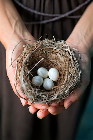 nest with eggs in woman's hands Stock Photo - Budget Royalty-Free & Subscription, Code: 400-05072438