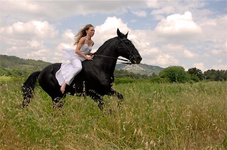 galloping beautiful wedding woman on her black stallion. photo with orange filter Stock Photo - Budget Royalty-Free & Subscription, Code: 400-05073984