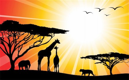 simsearch:400-04836462,k - Africa / safari - silhouettes of wild animals in twilight Foto de stock - Super Valor sin royalties y Suscripción, Código: 400-05087325