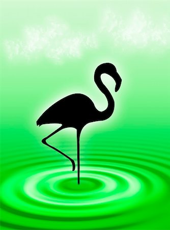 feathers and water drops - Flamingo bird in the water ripple Stock Photo - Budget Royalty-Free & Subscription, Code: 400-05081740