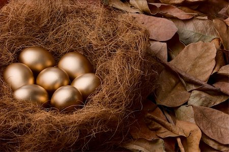 Seven golden eggs in nest surrounded by dead leafs. Shot a bit underexposed around the golden eggs to enhance the effect. Stock Photo - Budget Royalty-Free & Subscription, Code: 400-05092408