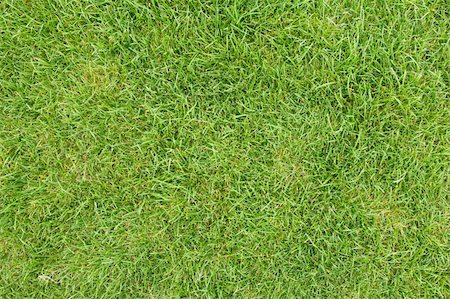 canted green grass field, view from top Stock Photo - Budget Royalty-Free & Subscription, Code: 400-05093011