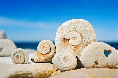 simsearch:400-05373814,k - Sea pebble with the hardened spirals on a beach at midday Stock Photo - Budget Royalty-Free & Subscription, Code: 400-05093826