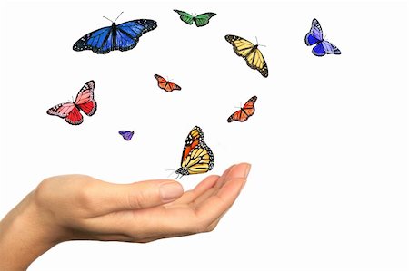 simsearch:400-06912266,k - Womans Hand Releasing Beautiful Butterflies Into the Wind Stock Photo - Budget Royalty-Free & Subscription, Code: 400-05102636