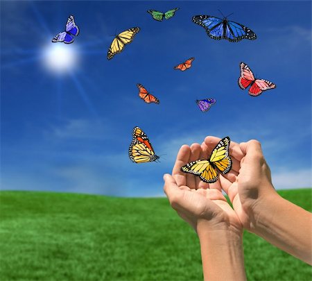 simsearch:400-06912266,k - Butterflies Flying Outdoors Towards the Sun on a Beautiful Spring Day Stock Photo - Budget Royalty-Free & Subscription, Code: 400-05102643