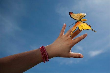 simsearch:400-06912266,k - woman hand gently holding yellow butterfly over blue sky Stock Photo - Budget Royalty-Free & Subscription, Code: 400-05116019