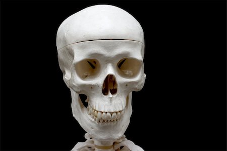 Closeup of a skull isolated on black Stock Photo - Budget Royalty-Free & Subscription, Code: 400-05116500
