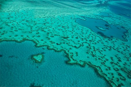 Heart Reef AUSTRALIA Stock Photo - Budget Royalty-Free & Subscription, Code: 400-05113811