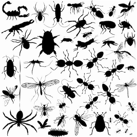 sting - 37 pieces of detailed vectoral bug silhouettes. Jpg involves silhouette paths. Illustrator .ai file included. Stock Photo - Budget Royalty-Free & Subscription, Code: 400-05126079
