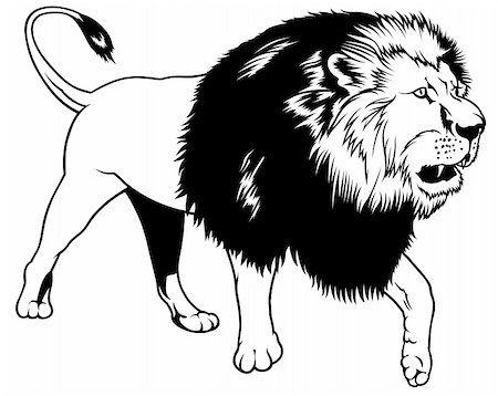 simsearch:400-04171805,k - Lion - black outline illustration as vector Stock Photo - Budget Royalty-Free & Subscription, Code: 400-05128156