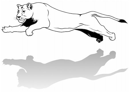 simsearch:400-04109301,k - Lioness - black outline illustration as vector Stock Photo - Budget Royalty-Free & Subscription, Code: 400-05128157