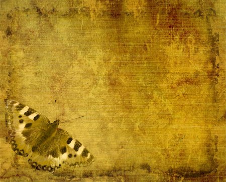 simsearch:400-04199406,k - Grunge retro background with butterfly Stock Photo - Budget Royalty-Free & Subscription, Code: 400-05134723