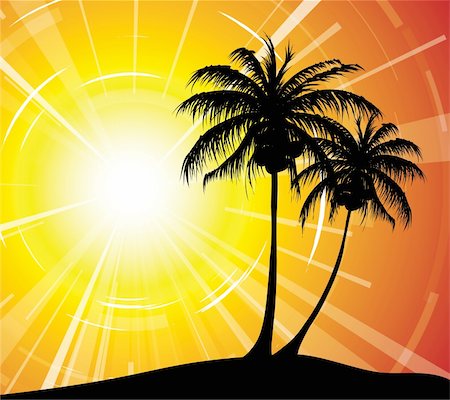 simsearch:400-04389195,k - Sunset on the beach - palm trees silhouettes Stock Photo - Budget Royalty-Free & Subscription, Code: 400-05138979