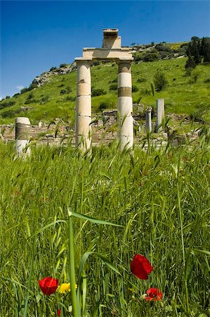 simsearch:400-04476617,k - A photo of ruins at Ephesus, Turkey against a blue sky, and lushious foreground Stock Photo - Budget Royalty-Free & Subscription, Code: 400-05131034
