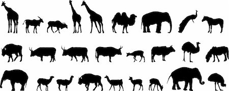simsearch:400-04280168,k - various animals silhouettes Stock Photo - Budget Royalty-Free & Subscription, Code: 400-05131243