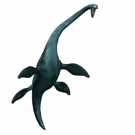 rendering of the giant sea dinosaur Elasmosaurus with Clipping Path over white Stock Photo - Budget Royalty-Free & Subscription, Code: 400-05147881