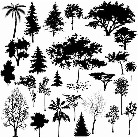 Detailed vectoral tree silhouettes. Stock Photo - Budget Royalty-Free & Subscription, Code: 400-05149937