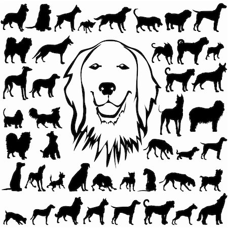 44 pieces of detailed vectoral dog silhouettes Stock Photo - Budget Royalty-Free & Subscription, Code: 400-05140647