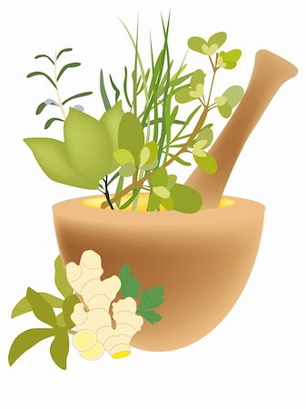a computer generated illustration about herbs Stock Photo - Budget Royalty-Free & Subscription, Code: 400-05165970