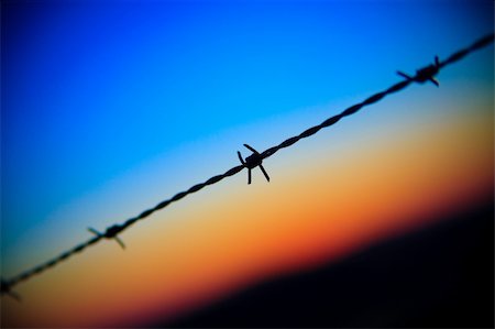 close-up of barbed wire dripping on sunset sky Stock Photo - Budget Royalty-Free & Subscription, Code: 400-05166609