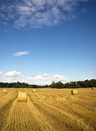 simsearch:400-04794343,k - Hay bales on wheat field, with blue sky Stock Photo - Budget Royalty-Free & Subscription, Code: 400-05167008