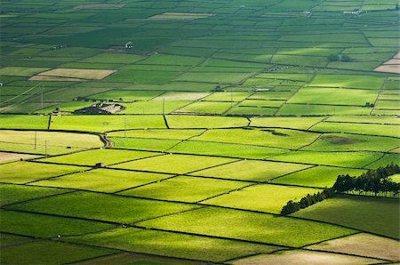 Farm fields in the Terceira island in Azores Stock Photo - Budget Royalty-Free & Subscription, Code: 400-05169671