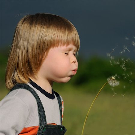 The boy and a dandelion. The small child blowing on a flower of a dandelion Foto de stock - Super Valor sin royalties y Suscripción, Código: 400-05162878