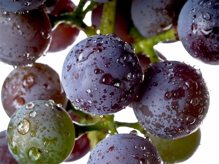 simsearch:846-03166143,k - Grapes on the Vine Stock Photo - Budget Royalty-Free & Subscription, Code: 400-05177494