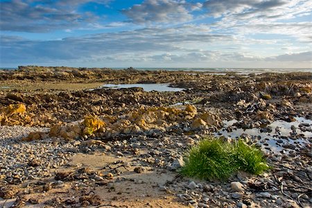 simsearch:400-04581013,k - Rocky beach with green bush in the foreground and blue sky with white clouds above Stock Photo - Budget Royalty-Free & Subscription, Code: 400-05170884
