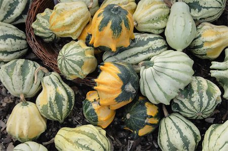 natural pumpkins background from the halloween garden Stock Photo - Budget Royalty-Free & Subscription, Code: 400-05172176
