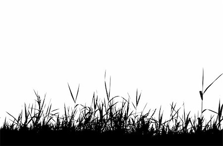 simsearch:400-04817406,k - Grass silhouette black Stock Photo - Budget Royalty-Free & Subscription, Code: 400-05173502