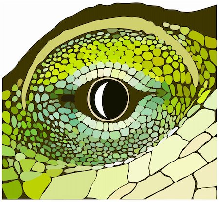 simsearch:400-05698814,k - Eye of a reptile. Vector art in EPS format. Photographie de stock - Aubaine LD & Abonnement, Code: 400-05181065