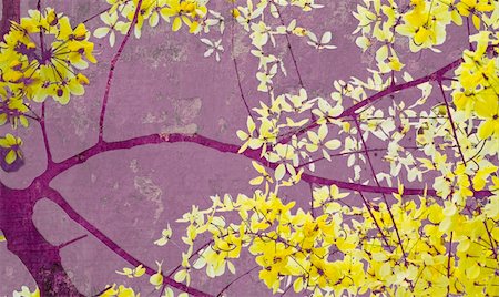 simsearch:400-05698489,k - Golden shower tree on purple wall textured art print Stock Photo - Budget Royalty-Free & Subscription, Code: 400-05195507