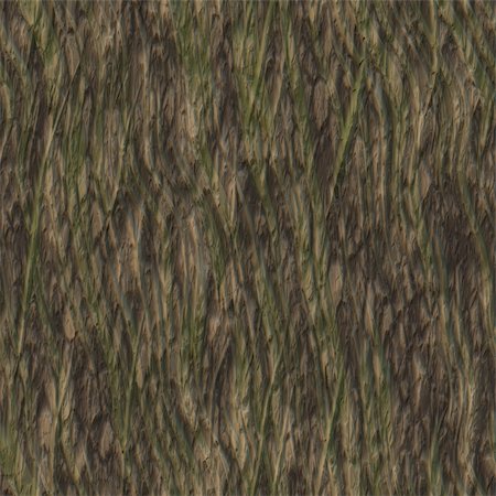 Seamless Tree Bark Wood Texture as Tileable Stock Photo - Budget Royalty-Free & Subscription, Code: 400-05197788