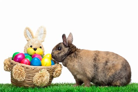 fotodesign_jegg (artist) - Easter bunny sitting in flower meadow with  colorful Easter eggs. Isolated on white Background. Stock Photo - Budget Royalty-Free & Subscription, Code: 400-05208696