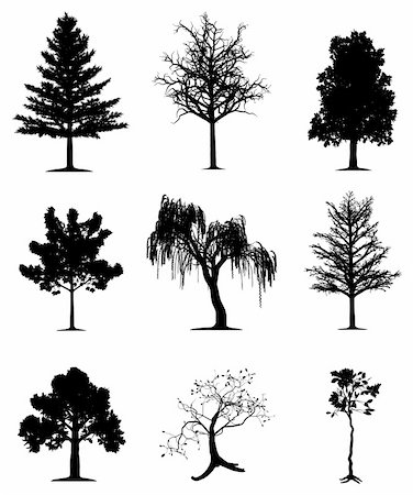 Collection of 9 trees on isolated white background. EPS file available. Stock Photo - Budget Royalty-Free & Subscription, Code: 400-05209480