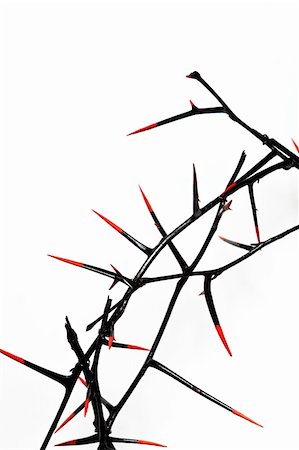 Crown of thorns close-up - black with blood-red thorn points, isolated on white, room for copy. Stock Photo - Budget Royalty-Free & Subscription, Code: 400-05202540