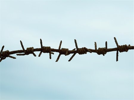 Ancient rusty barbed wire against the blue sky Stock Photo - Budget Royalty-Free & Subscription, Code: 400-05226154