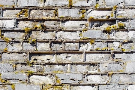 simsearch:400-05224637,k - Ancient wall covered with a moss with the decayed bricks Stock Photo - Budget Royalty-Free & Subscription, Code: 400-05226193