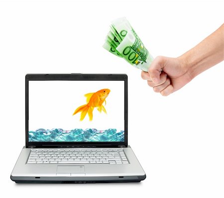 simsearch:700-05452103,k - Goldfish in aquarium  isolated on a white background Stock Photo - Budget Royalty-Free & Subscription, Code: 400-05236065