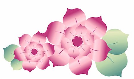 simsearch:400-05235157,k - drawing of beautiful sakura flower with green leaves Stock Photo - Budget Royalty-Free & Subscription, Code: 400-05238654